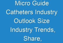 Micro Guide Catheters Industry Outlook Size Industry Trends, Share, Size and 2024 Future Opportunities