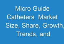 Micro Guide Catheters Market Size, Share, Growth, Trends, and Forecast 2017-2024