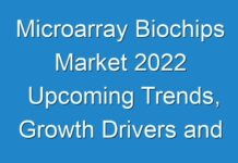 Microarray Biochips Market 2024 Upcoming Trends, Growth Drivers and Challenges Till 2026