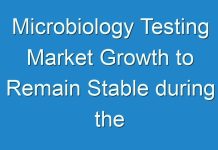 Microbiology Testing Market Growth to Remain Stable during the Projection Period