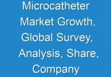 Microcatheter Market Growth, Global Survey, Analysis, Share, Company Profiles and Forecast by 2027
