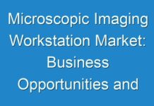 Microscopic Imaging Workstation Market: Business Opportunities and Growth Challenges Report