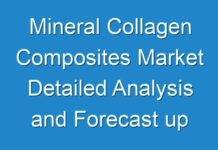 Mineral Collagen Composites Market Detailed Analysis and Forecast up to 2026