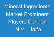 Mineral Ingredients Market Prominent Players Corbion N.V., Haifa Chemicals, Dupont De Nemours and Company