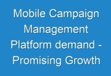 Mobile Campaign Management Platform demand – Promising Growth Opportunities and Forecast