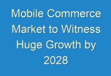 Mobile Commerce Market to Witness Huge Growth by 2028