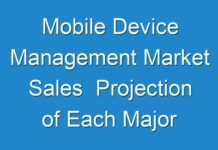 Mobile Device Management Market Sales Projection of Each Major Segment over the Forecast Period 2018 – 2026