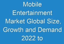 Mobile Entertainment Market Global Size, Growth and Demand 2024 to 2027