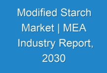 Modified Starch Market | MEA Industry Report, 2030