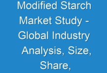 Modified Starch Market Study – Global Industry Analysis, Size, Share, Growth, Trends, and Forecast 2019 – 2027