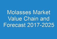 Molasses Market Value Chain and Forecast 2017-2025