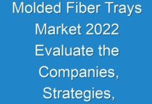 Molded Fiber Trays Market 2024 Evaluate the Companies, Strategies, Technologies and Solutions Involved