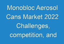 Monobloc Aerosol Cans Market 2024 Challenges, competition, and regional analysis