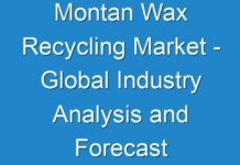 Montan Wax Recycling Market – Global Industry Analysis and Forecast 2017 – 2025