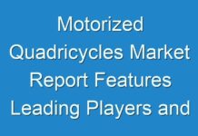 Motorized Quadricycles Market Report Features Leading Players and Forecast the Future for the Period By 2030