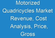 Motorized Quadricycles Market Revenue, Cost Analysis, Price, Gross Margin And Top Manufactures Prediction 2024 To 2030