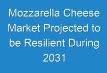 Mozzarella Cheese Market Projected to be Resilient During 2031
