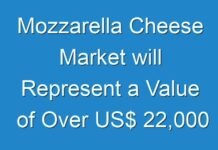 Mozzarella Cheese Market will Represent a Value of Over US$ 22,000 Mn. by 2024 End