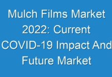 Mulch Films Market 2024: Current COVID-19 Impact And Future Market Landscape Analysis 2027