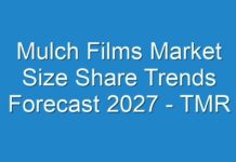 Mulch Films Market Size Share Trends Forecast 2027 – TMR