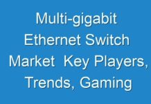 Multi-gigabit Ethernet Switch Market Key Players, Trends, Gaming Type And Forecast 2018 – 2026