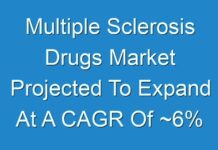 Multiple Sclerosis Drugs Market Projected To Expand At A CAGR Of ~6% During The Forecast Period 2019 – 2027