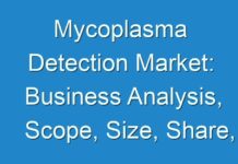 Mycoplasma Detection Market: Business Analysis, Scope, Size, Share, Growth, Trends, Demand, Overview & Forecast 2029