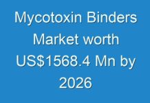 Mycotoxin Binders Market worth US$1568.4 Mn by 2026