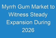 Myrrh Gum Market to Witness Steady Expansion During 2026