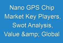 Nano GPS Chip Market Key Players, Swot Analysis, Value & Global Market Share By 2024