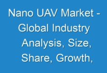 Nano UAV Market – Global Industry Analysis, Size, Share, Growth, Trends by 2026