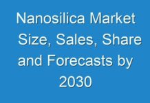 Nanosilica Market Size, Sales, Share and Forecasts by 2030
