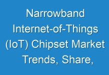 Narrowband Internet-of-Things (IoT) Chipset Market Trends, Share, Forecast by 2025; Covid-19 Analysis