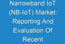 Narrowband IoT (NB-IoT) Market: Reporting And Evaluation Of Recent Industry Developments 2017 – 2025