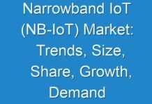 Narrowband IoT (NB-IoT) Market: Trends, Size, Share, Growth, Demand and Regional Outlook by 2030