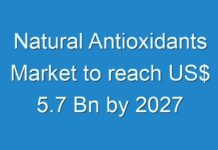Natural Antioxidants Market to reach US$ 5.7 Bn by 2027