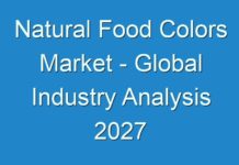 Natural Food Colors Market – Global Industry Analysis 2027