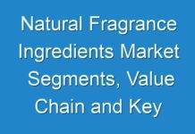 Natural Fragrance Ingredients Market Segments, Value Chain and Key Trends 2024