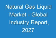 Natural Gas Liquid Market – Global Industry Report, 2027