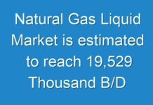 Natural Gas Liquid Market is estimated to reach 19,529 Thousand B/D by 2027