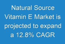 Natural Source Vitamin E Market is projected to expand a 12.8% CAGR from 2016 to 2024