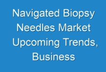 Navigated Biopsy Needles Market Upcoming Trends, Business Opportunities and Regional Outlook with Forecast till 2031