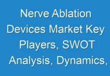 Nerve Ablation Devices Market Key Players, SWOT Analysis, Dynamics, Drivers, Key Indicators and Forecast up to 2028