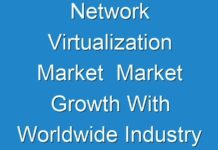 Network Virtualization Market Market Growth With Worldwide Industry Analysis To 2016 – 2024