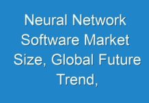 Neural Network Software Market Size, Global Future Trend, Segmentation, Top Key Players, Opportunities and Forecast to 2030