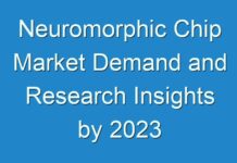 Neuromorphic Chip Market Demand and Research Insights by 2024