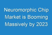 Neuromorphic Chip Market is Booming Massively by 2024