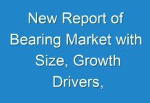 New Report of Bearing Market with Size, Growth Drivers, Opportunities, Business Trends and Forecast to 2030