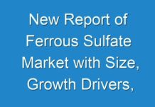 New Report of Ferrous Sulfate Market with Size, Growth Drivers, Opportunities, Business Trends and Forecast to 2028