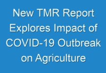 New TMR Report Explores Impact of COVID-19 Outbreak on Agriculture Nets Market Sales